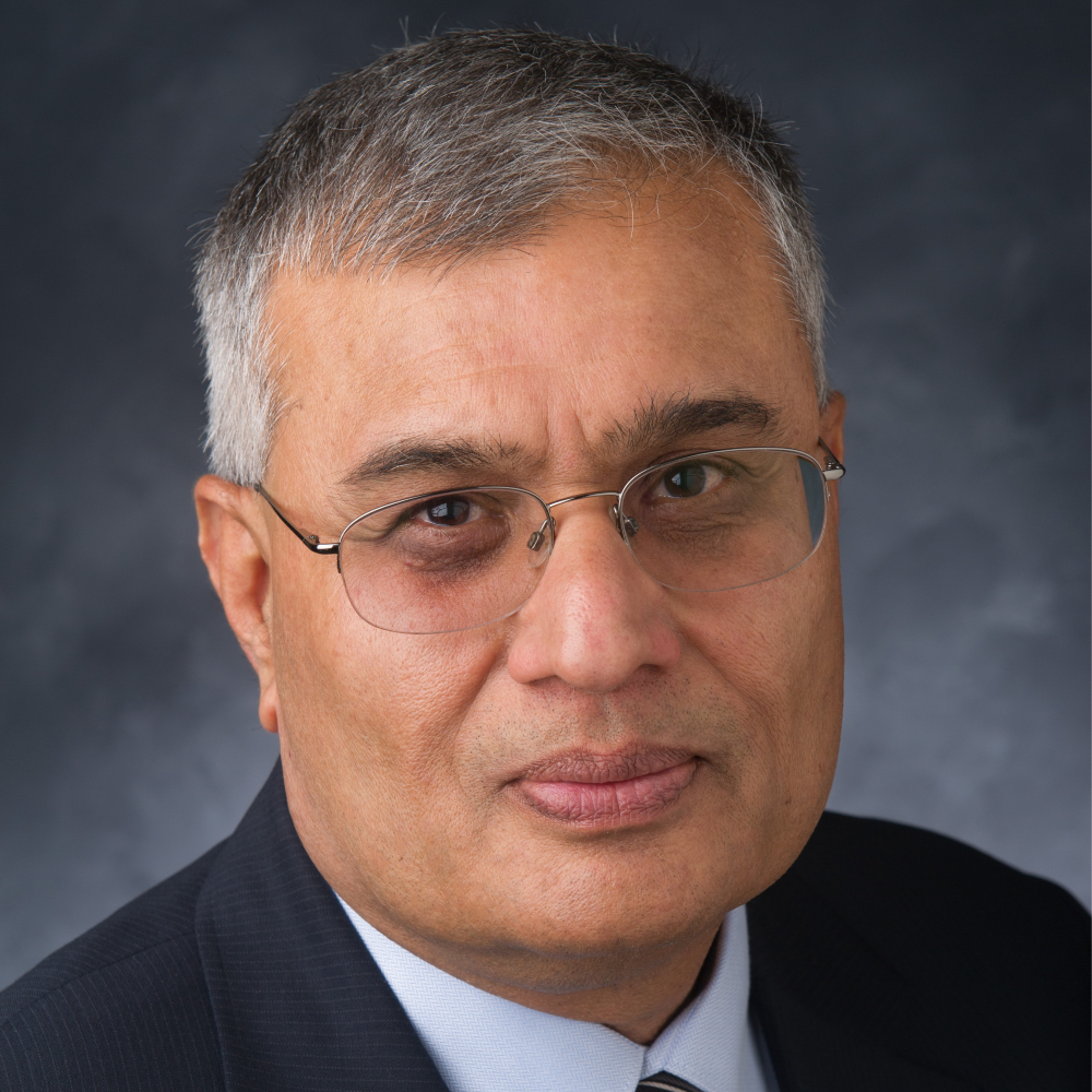 Photo of Anand M. Vijh